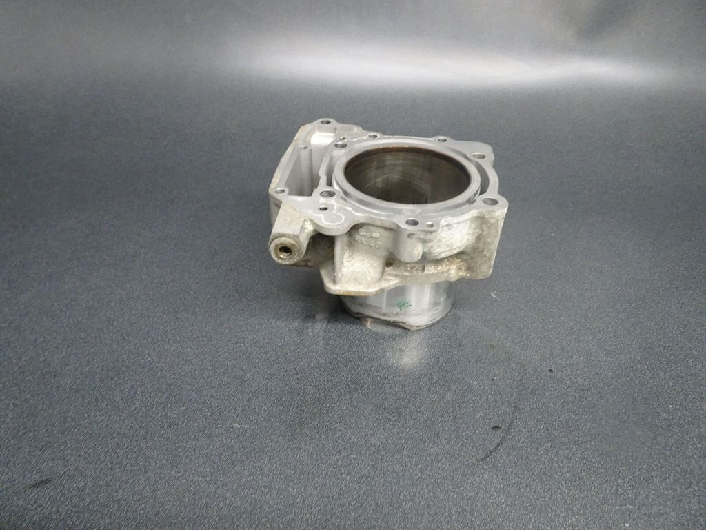 Цилиндр с поршнем оригинал BRP 420623220 (Cylinder And Pistons Assy)