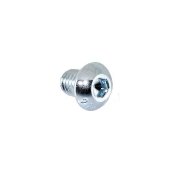 Сливной болт КПП (M8 x 10) оригинал BRP 619230037 для BRP LYNX/Ski-Doo (Allen Screw M8 x 10)