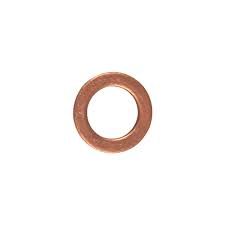 BRP 420950141 Sealing ring